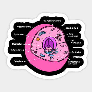 Cell (Biology Poster) Sticker